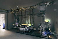 Egg dosing system: